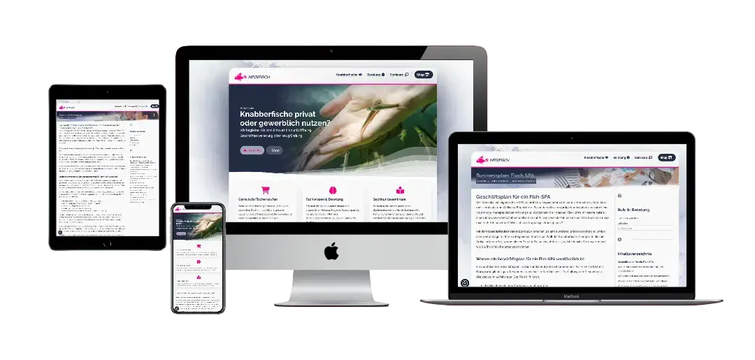 MEDIFISCH Dropshipping-Shop fuer Wellness- und SPA-Bedarf